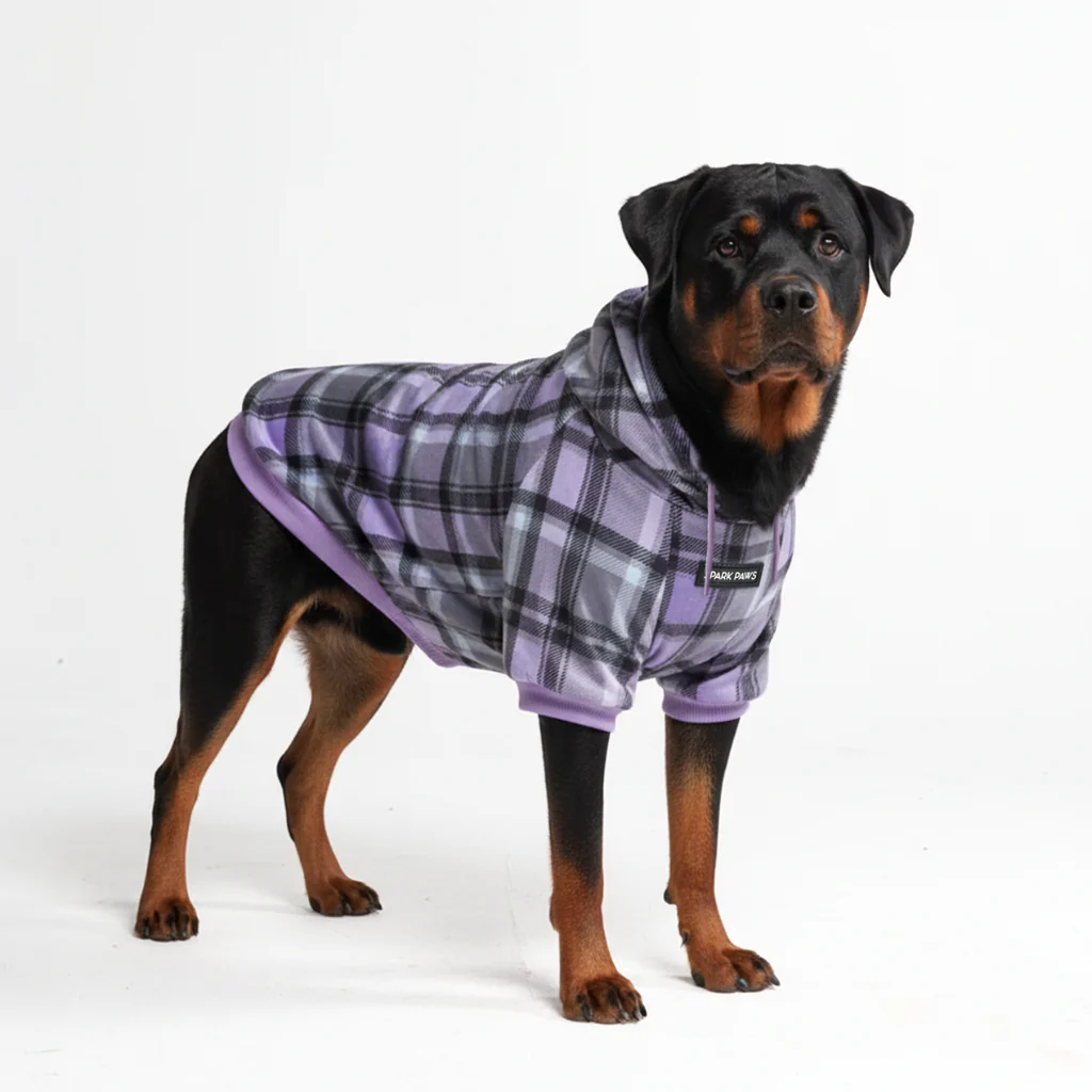 Maglione Plaid per Cani - Quadretti viola - Image 6