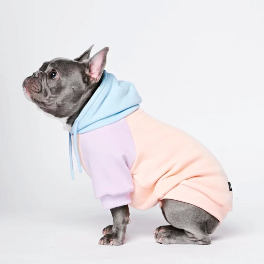 Felpa con cappuccio color block per cani - Image 38