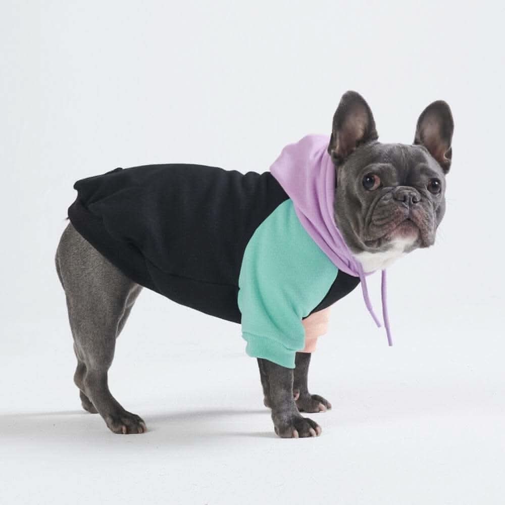 Felpa con cappuccio color block per cani - Image 4