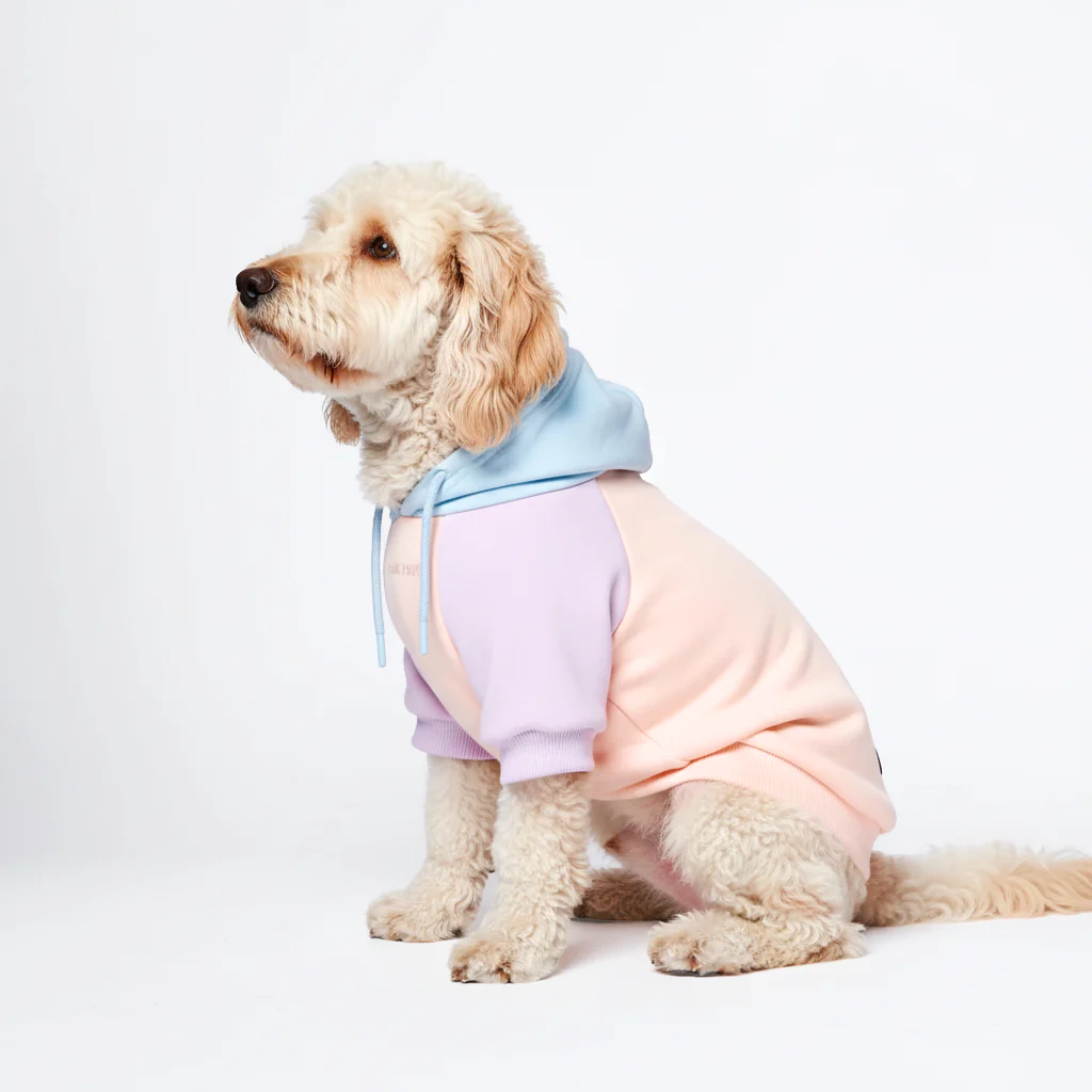 Felpa con cappuccio color block per cani - Image 41
