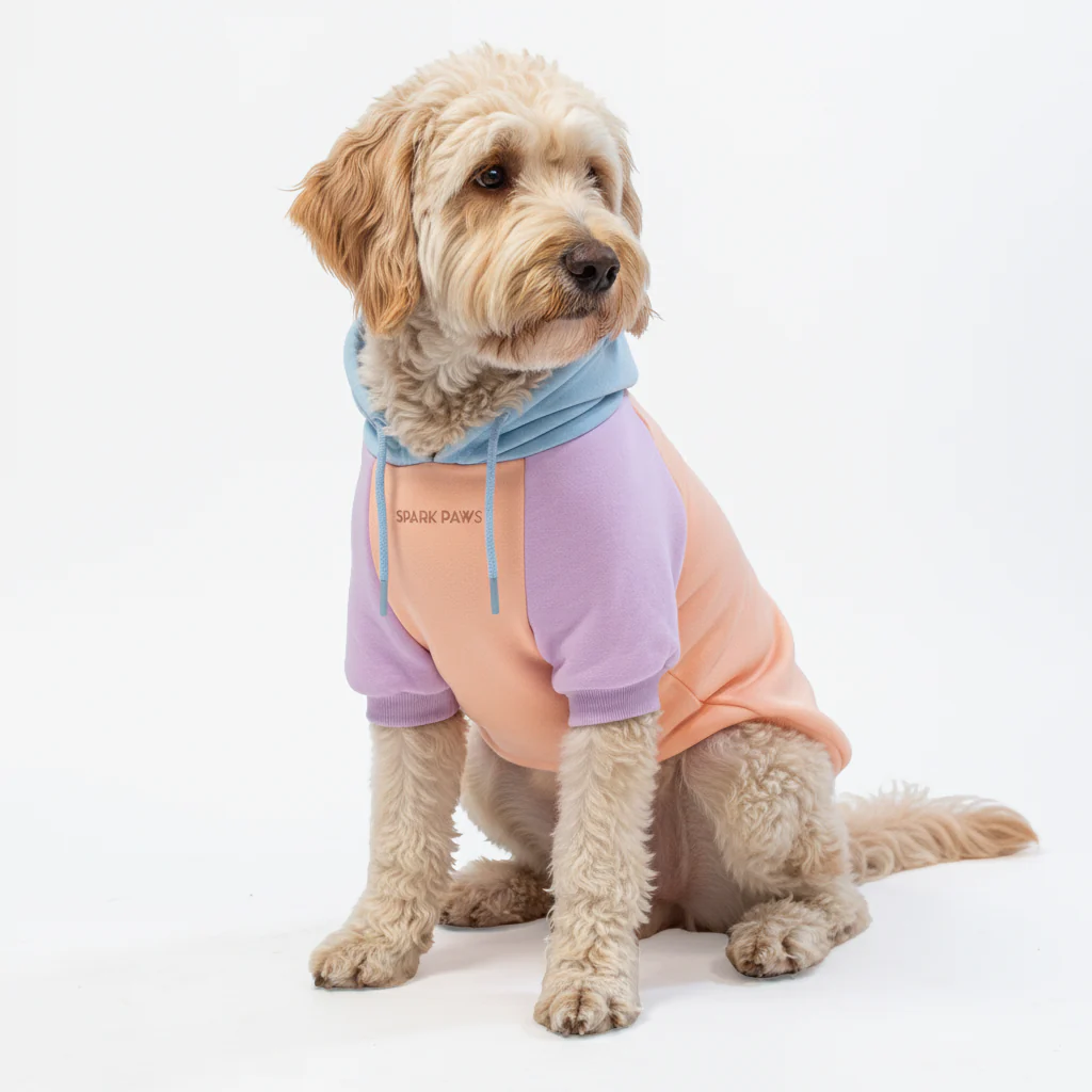 Felpa con cappuccio color block per cani - Image 42