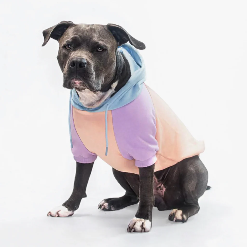 Felpa con cappuccio color block per cani - Image 43