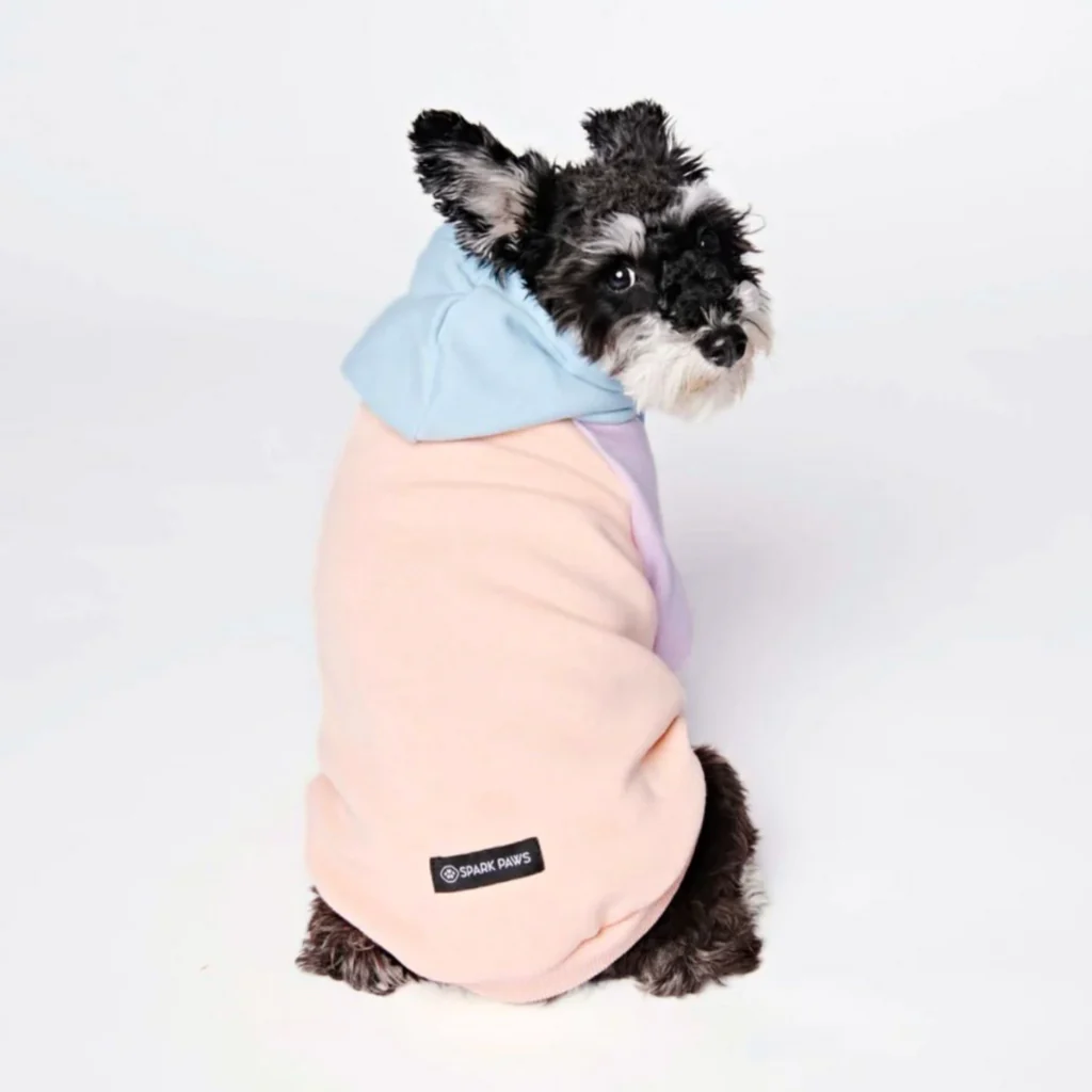 Felpa con cappuccio color block per cani - Image 47