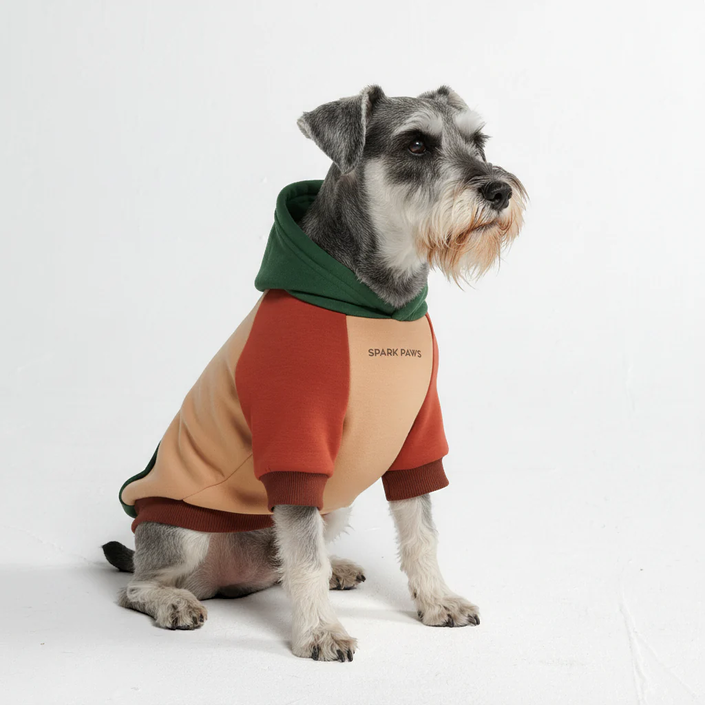 Felpa con cappuccio color block per cani - Image 51