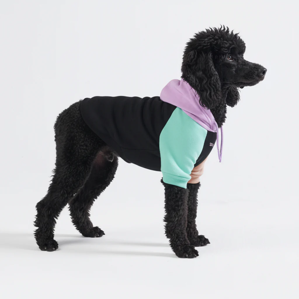 Felpa con cappuccio color block per cani - Image 6