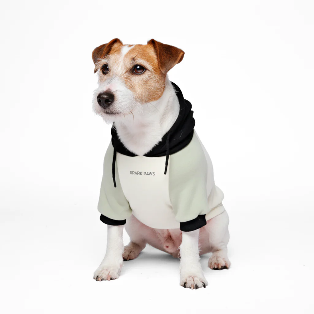 Felpa con cappuccio color block per cani - Image 65