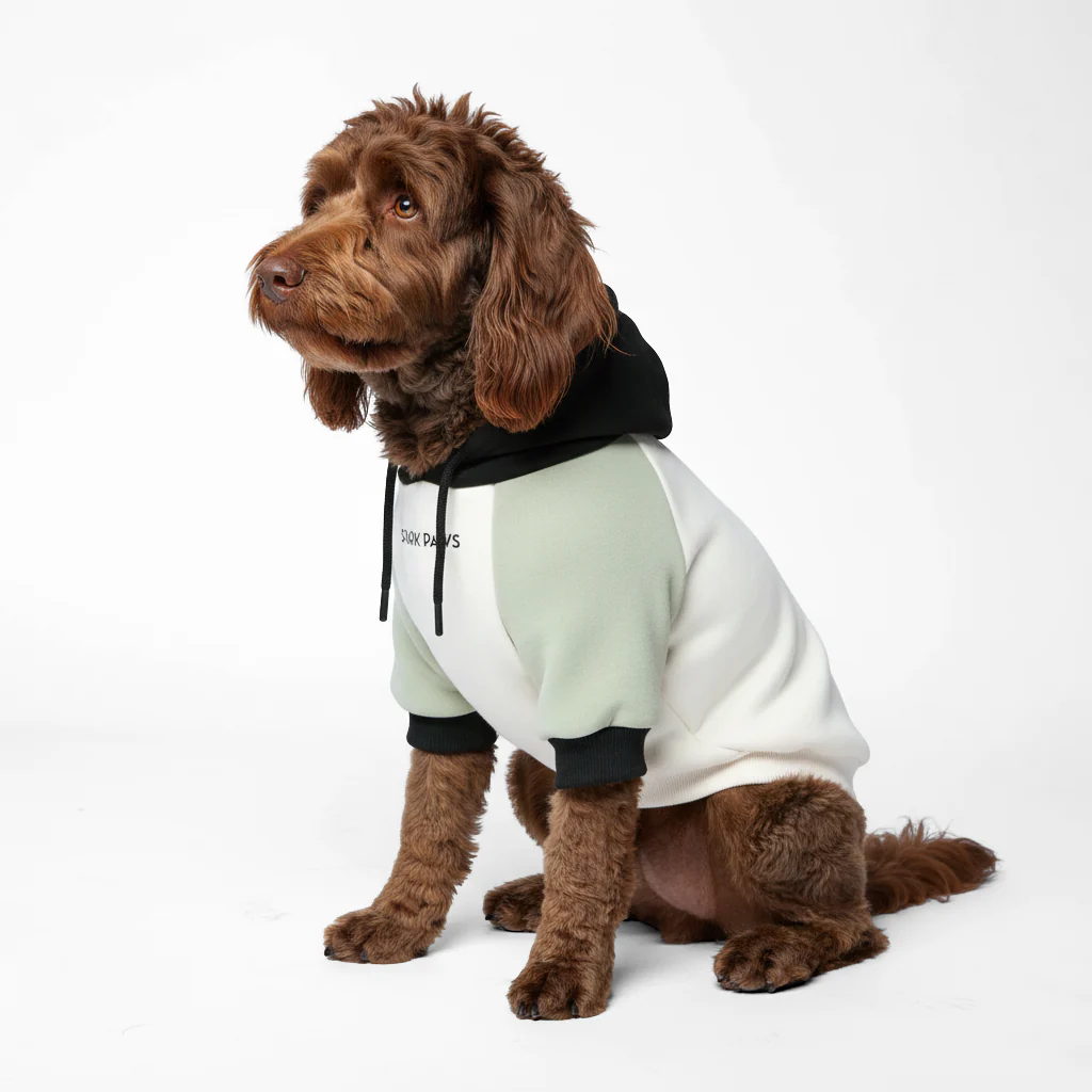 Felpa con cappuccio color block per cani - Image 67