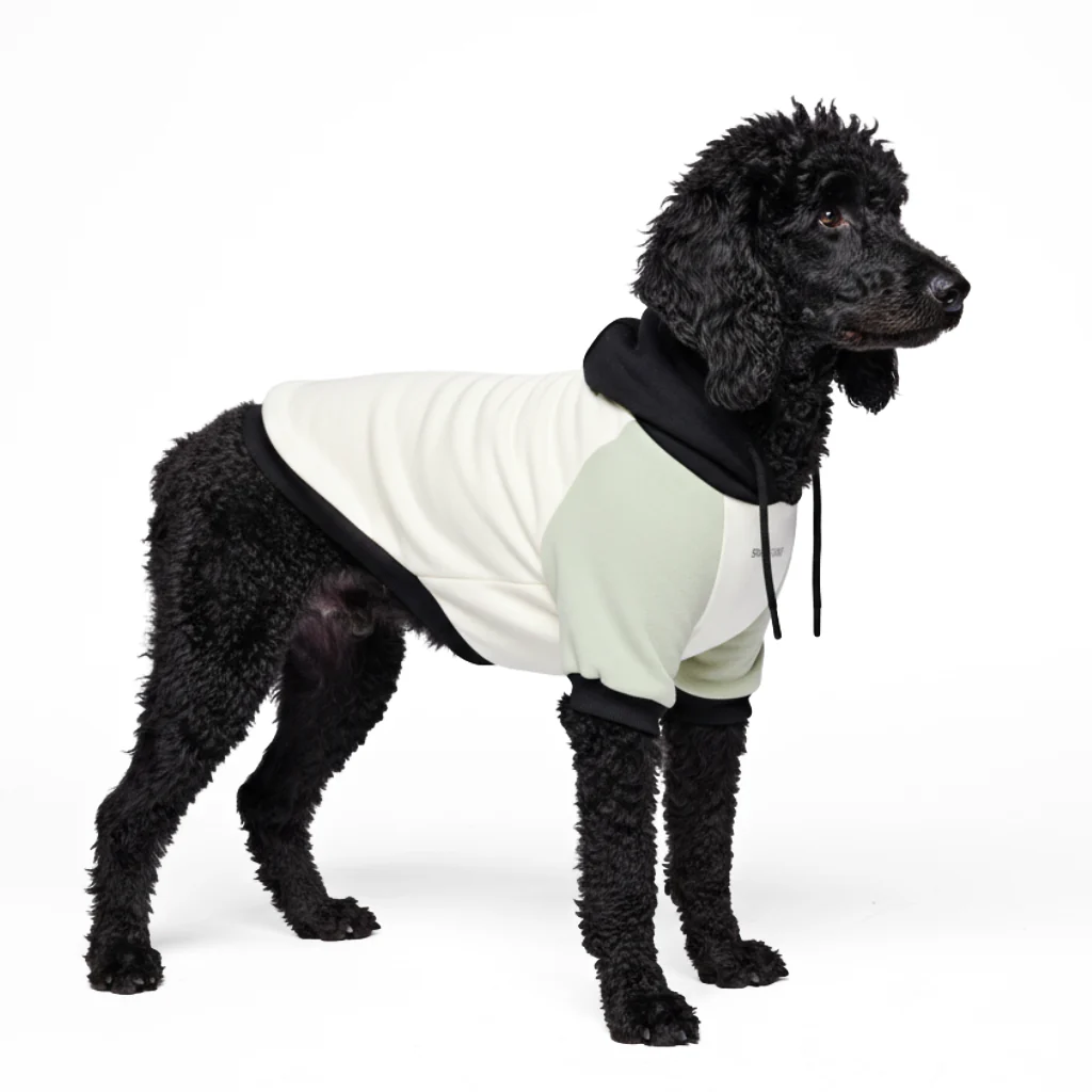 Felpa con cappuccio color block per cani - Image 68