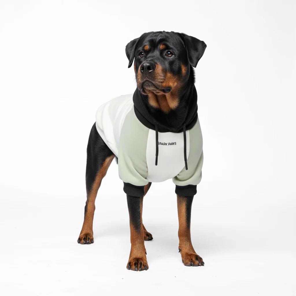 Felpa con cappuccio color block per cani - Image 69