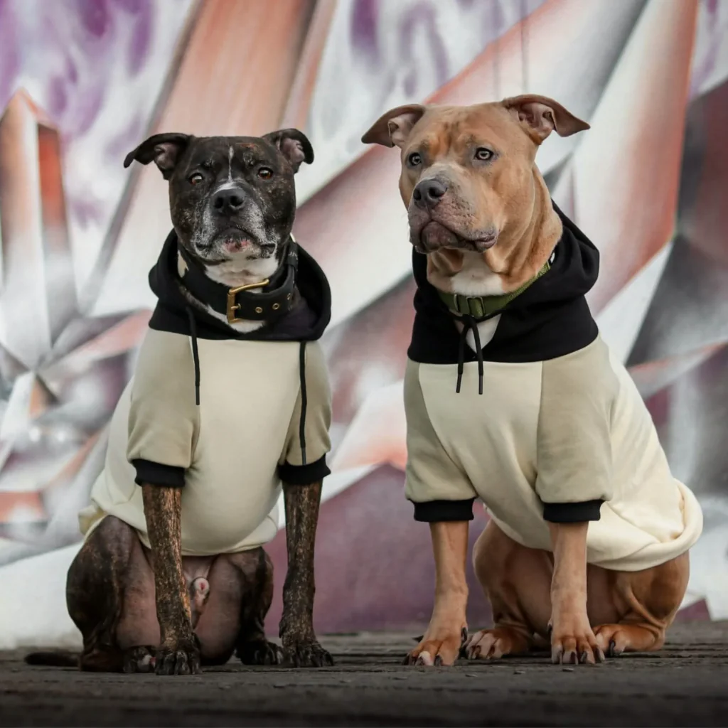 Felpa con cappuccio color block per cani - Image 74
