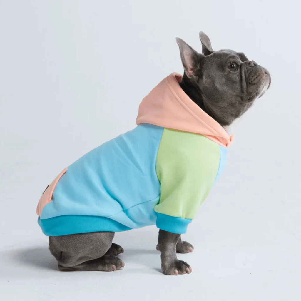 Felpa con cappuccio color block per cani - Image 79