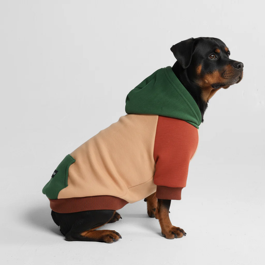Ranger Felpa per Cane - Image 8