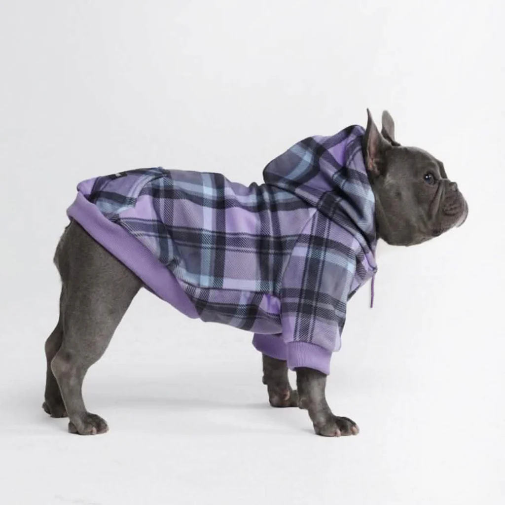 Maglione Plaid per Cani - Quadretti rossi - Image 27