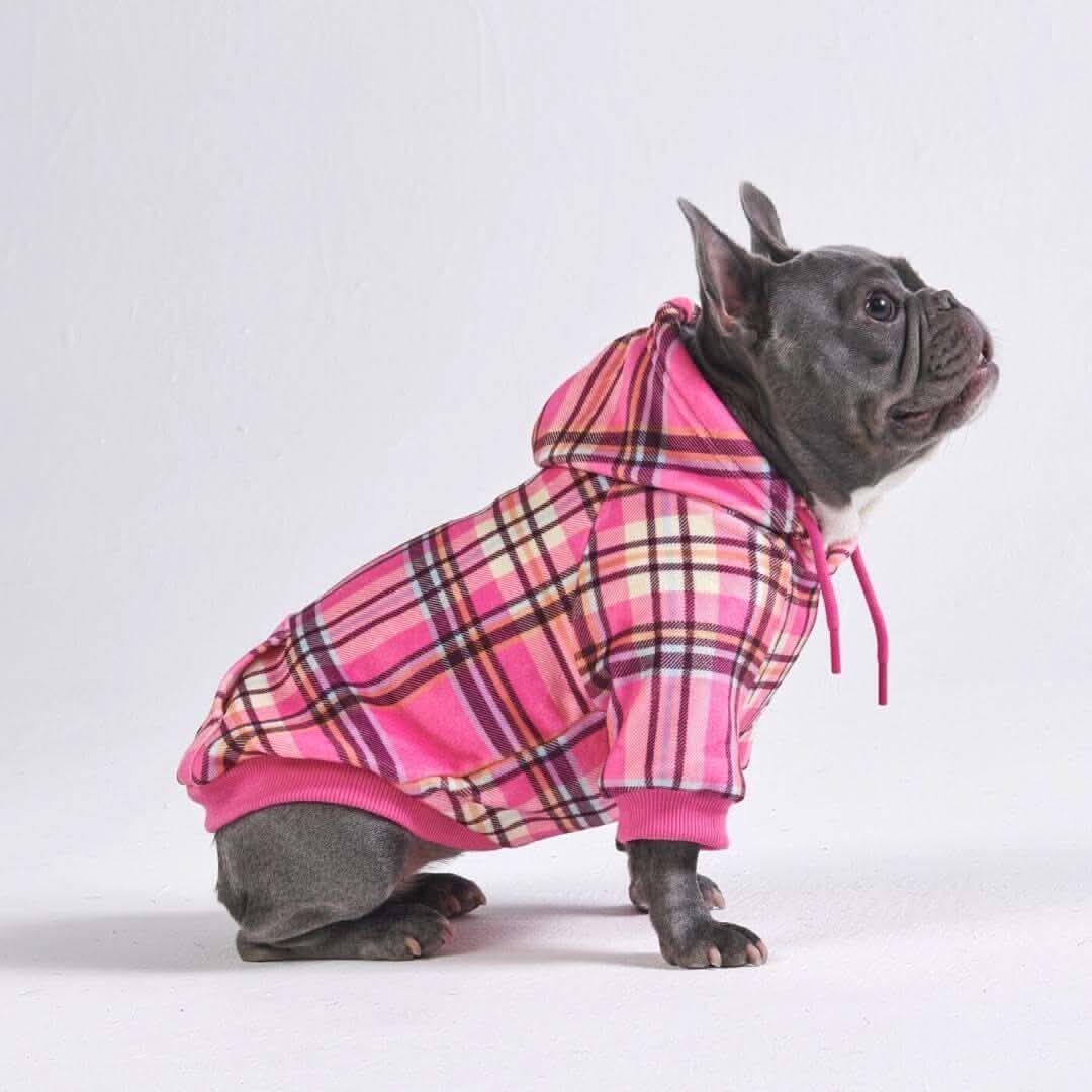 Maglione Plaid per Cani - Quadretti rossi - Image 40