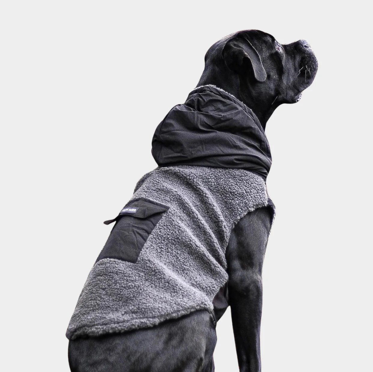 Giacca reversibile - Grigio e Nero - Image 4