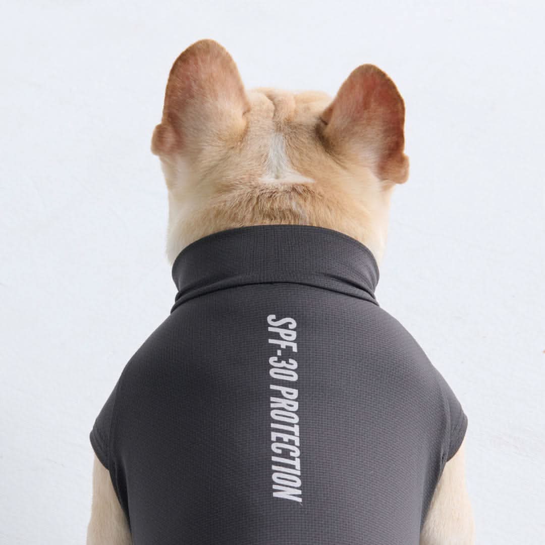 Maglietta per cani con protezione solare - Grigio scuro - Image 4