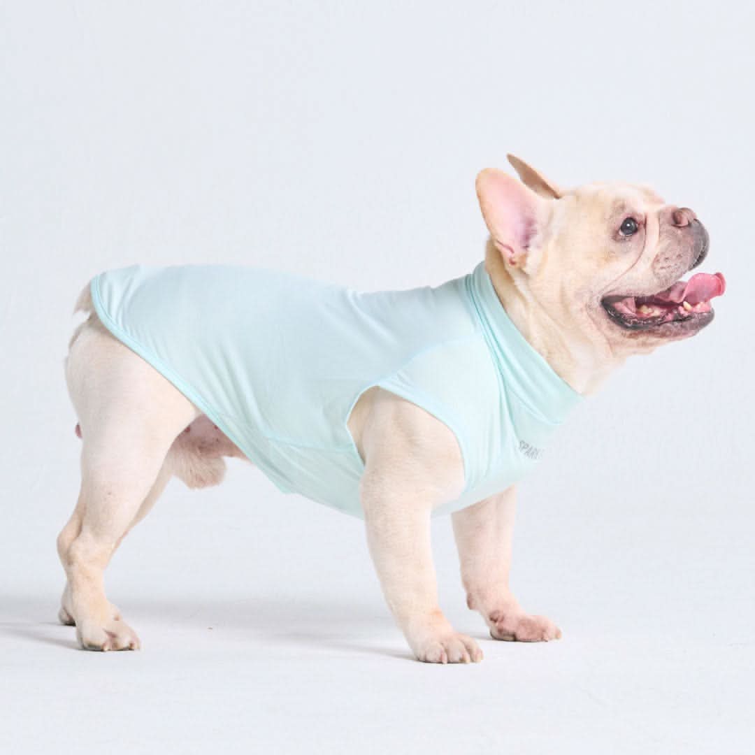 Maglietta per cani con protezione solare - Azzurro - Image 3