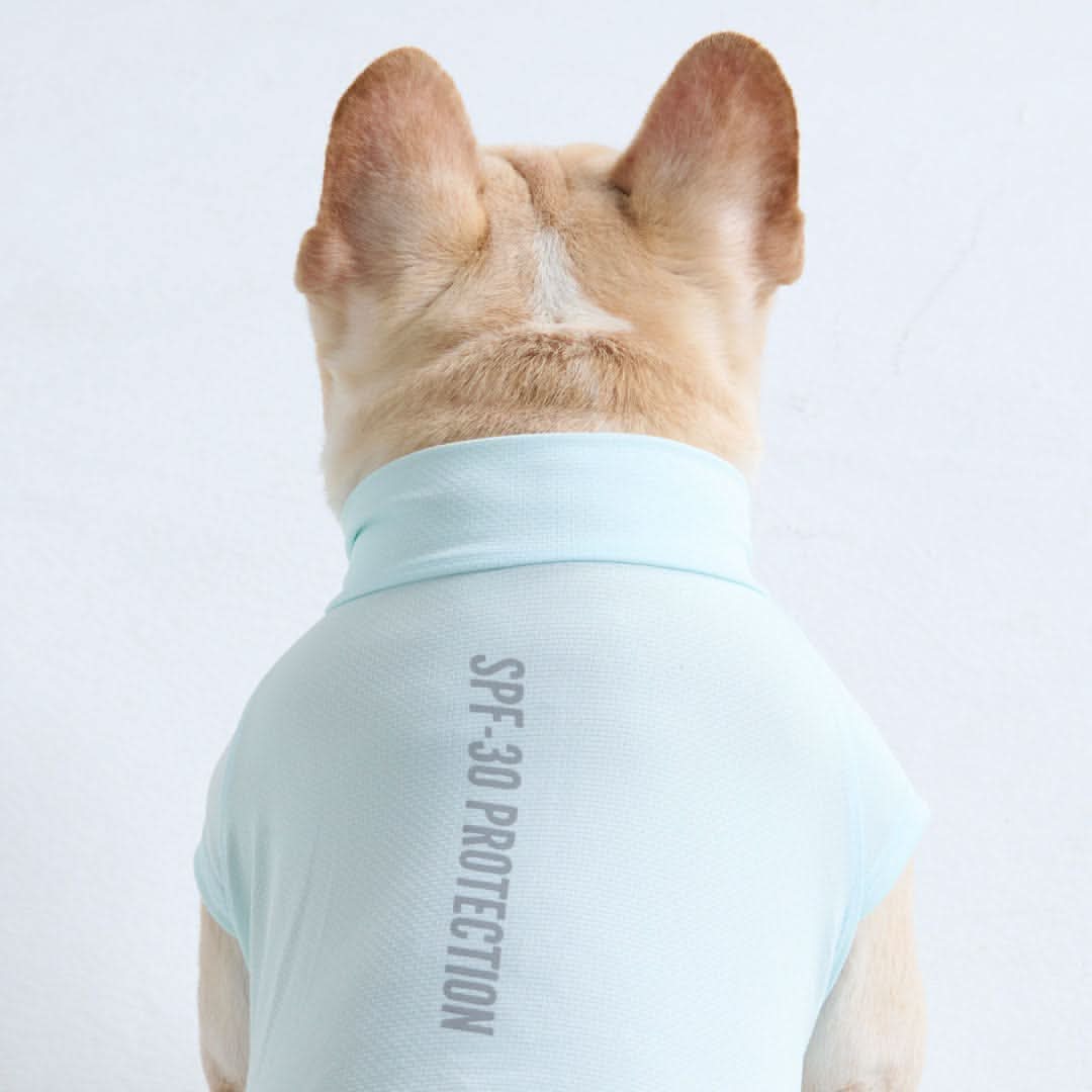 Maglietta per cani con protezione solare - Azzurro - Image 4