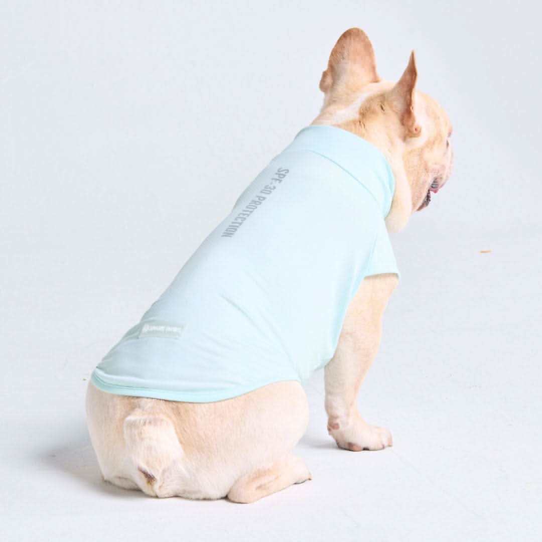 Maglietta per cani con protezione solare - Azzurro - Image 5