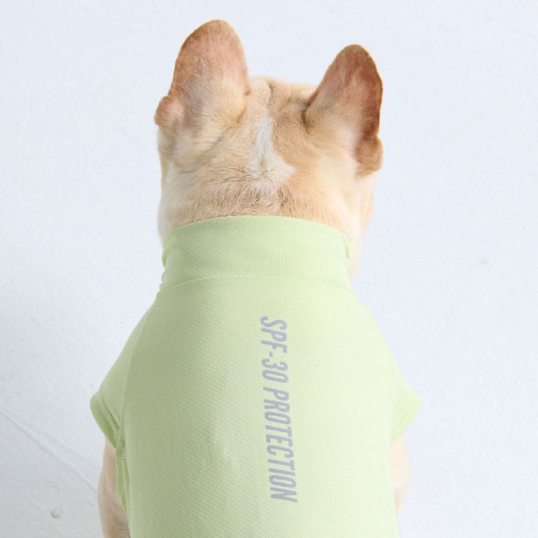 Maglietta per cani con protezione solare - Verde chiaro - Image 3