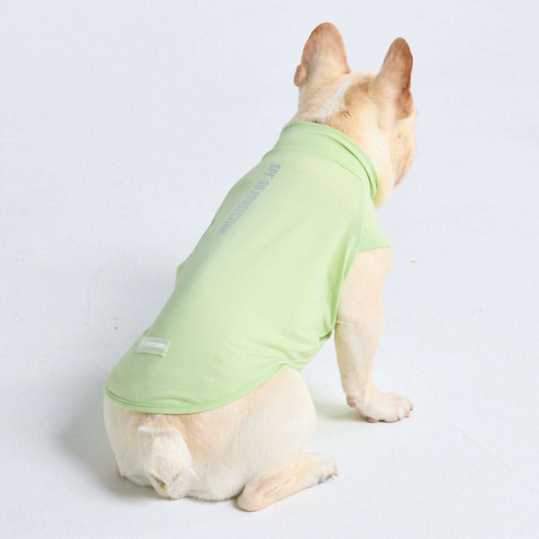 Maglietta per cani con protezione solare - Verde chiaro - Image 4