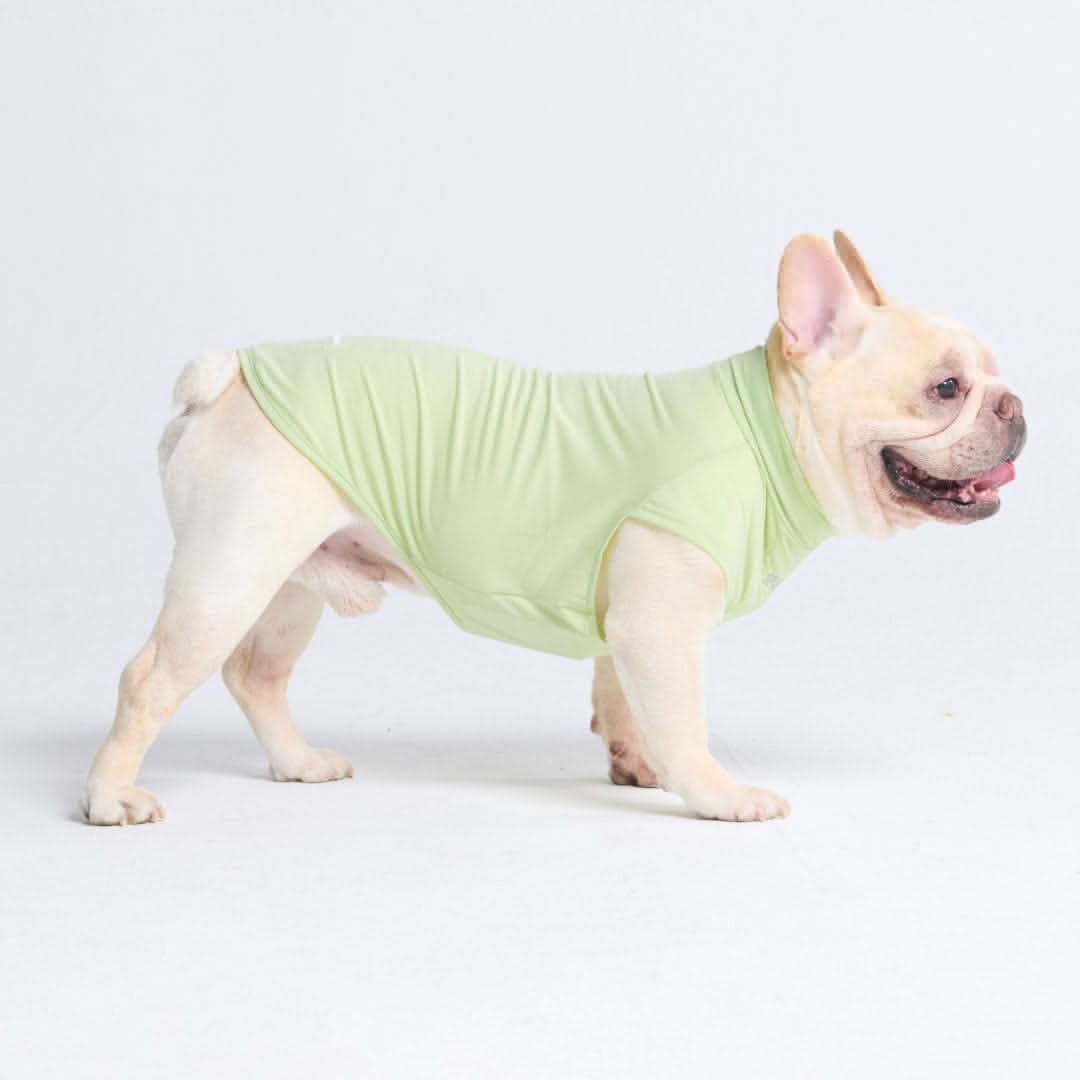 Maglietta per cani con protezione solare - Verde chiaro - Image 5