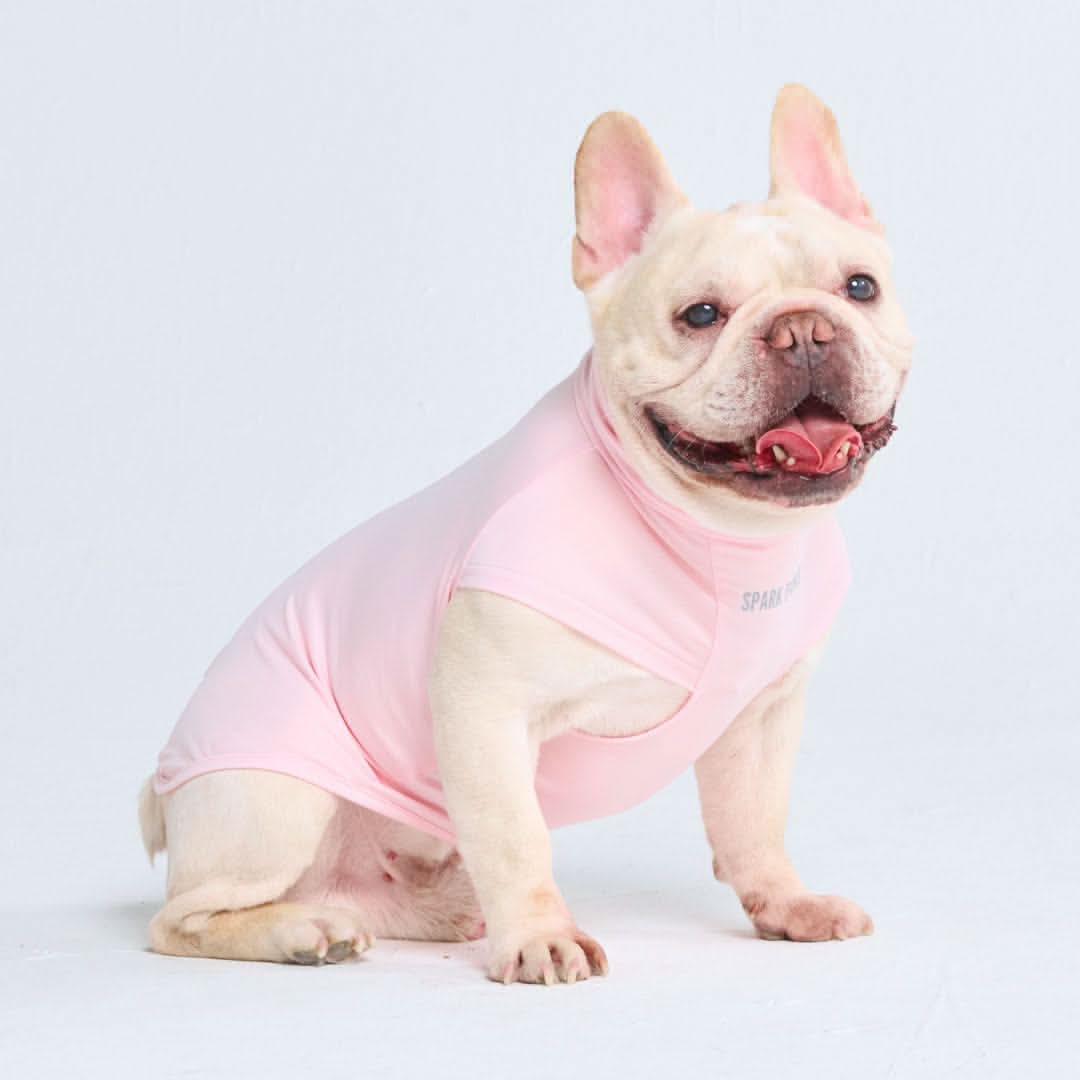 Maglietta per cani con protezione solare - Rosa chiaro - Image 4