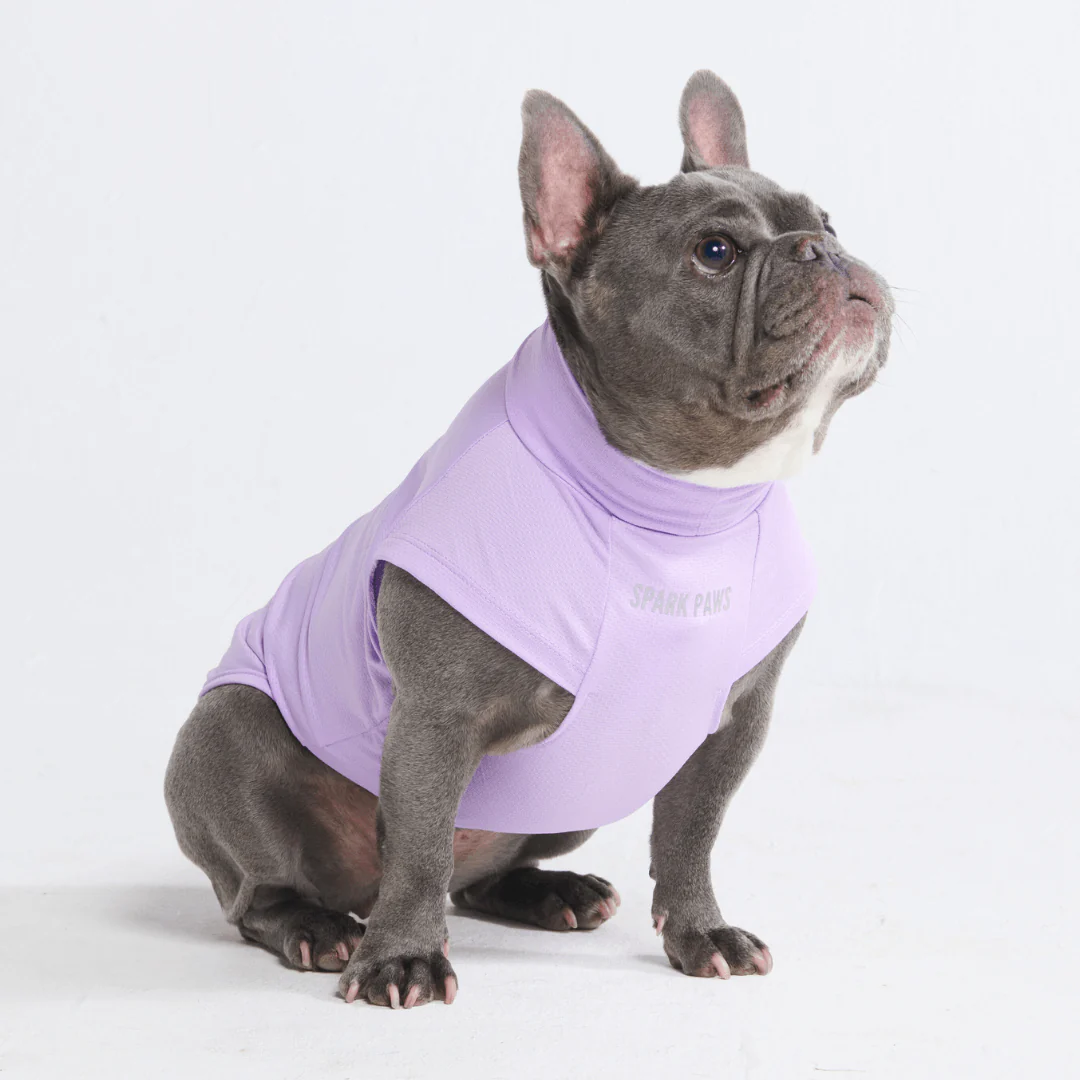 Magliette per cani con protezione solare - Image 12