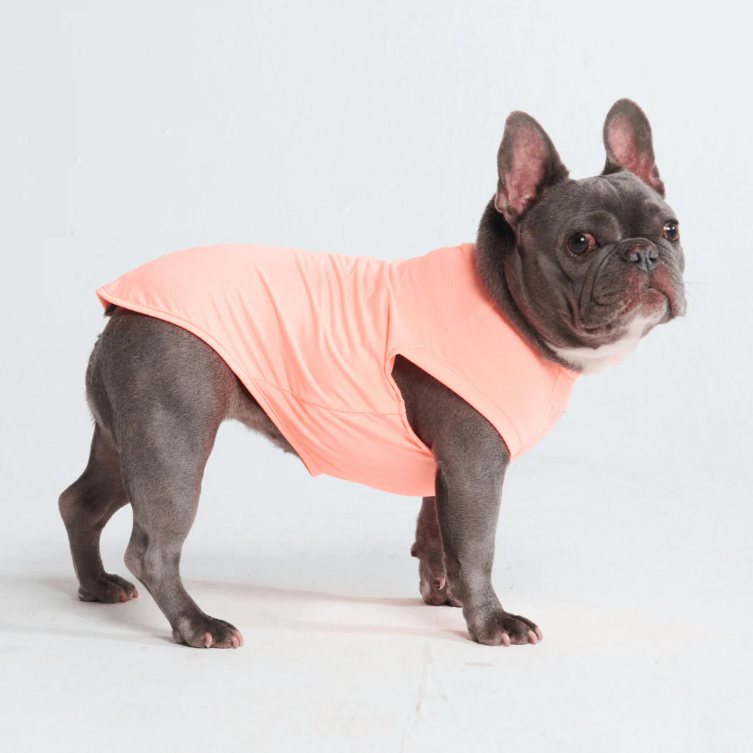 Magliette per cani con protezione solare - Image 14