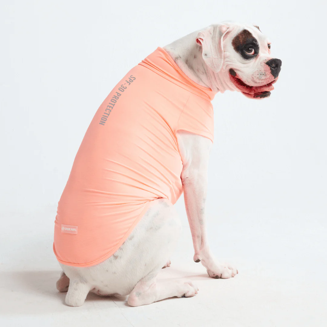 Magliette per cani con protezione solare - Image 17