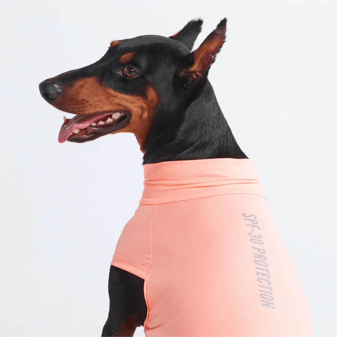 Magliette per cani con protezione solare - Image 18