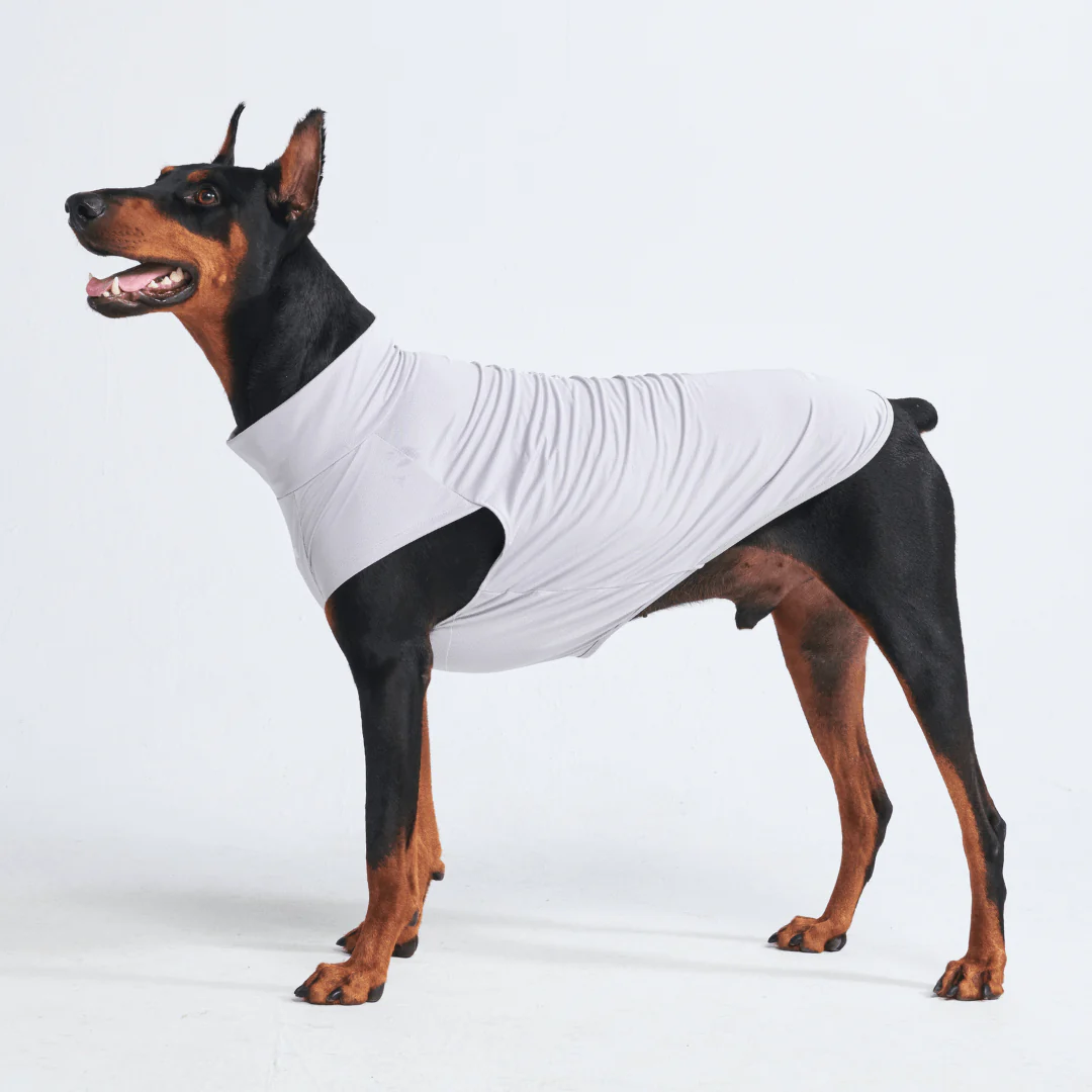Magliette per cani con protezione solare - Image 21