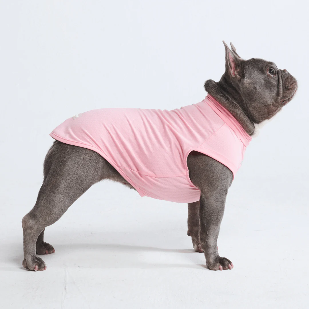 Magliette per cani con protezione solare - Image 25
