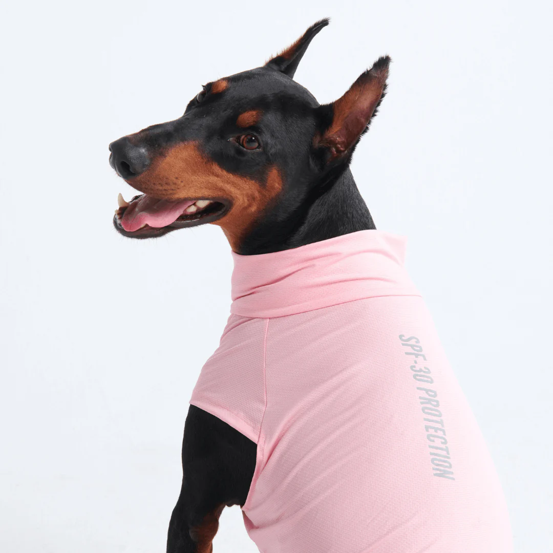 Magliette per cani con protezione solare - Image 26