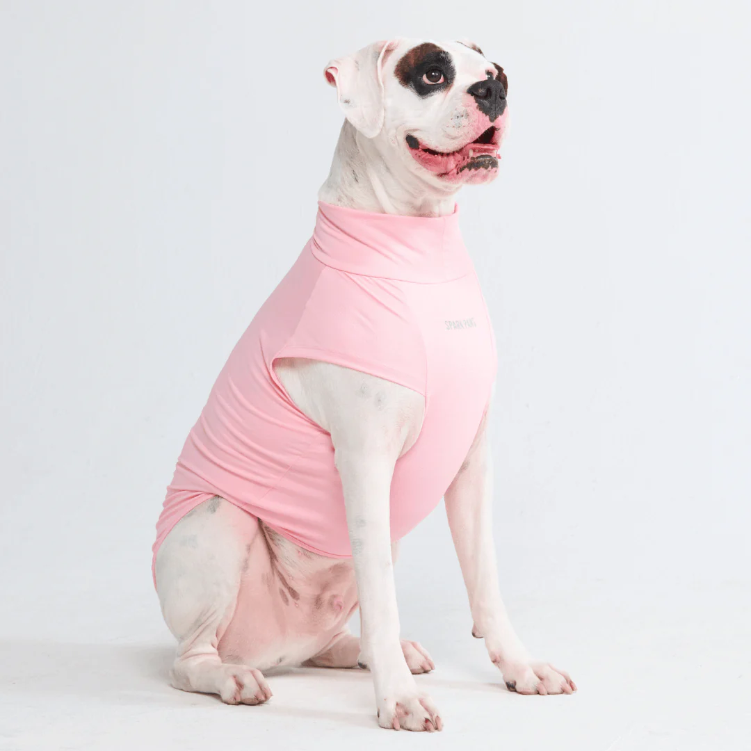 Magliette per cani con protezione solare - Image 27