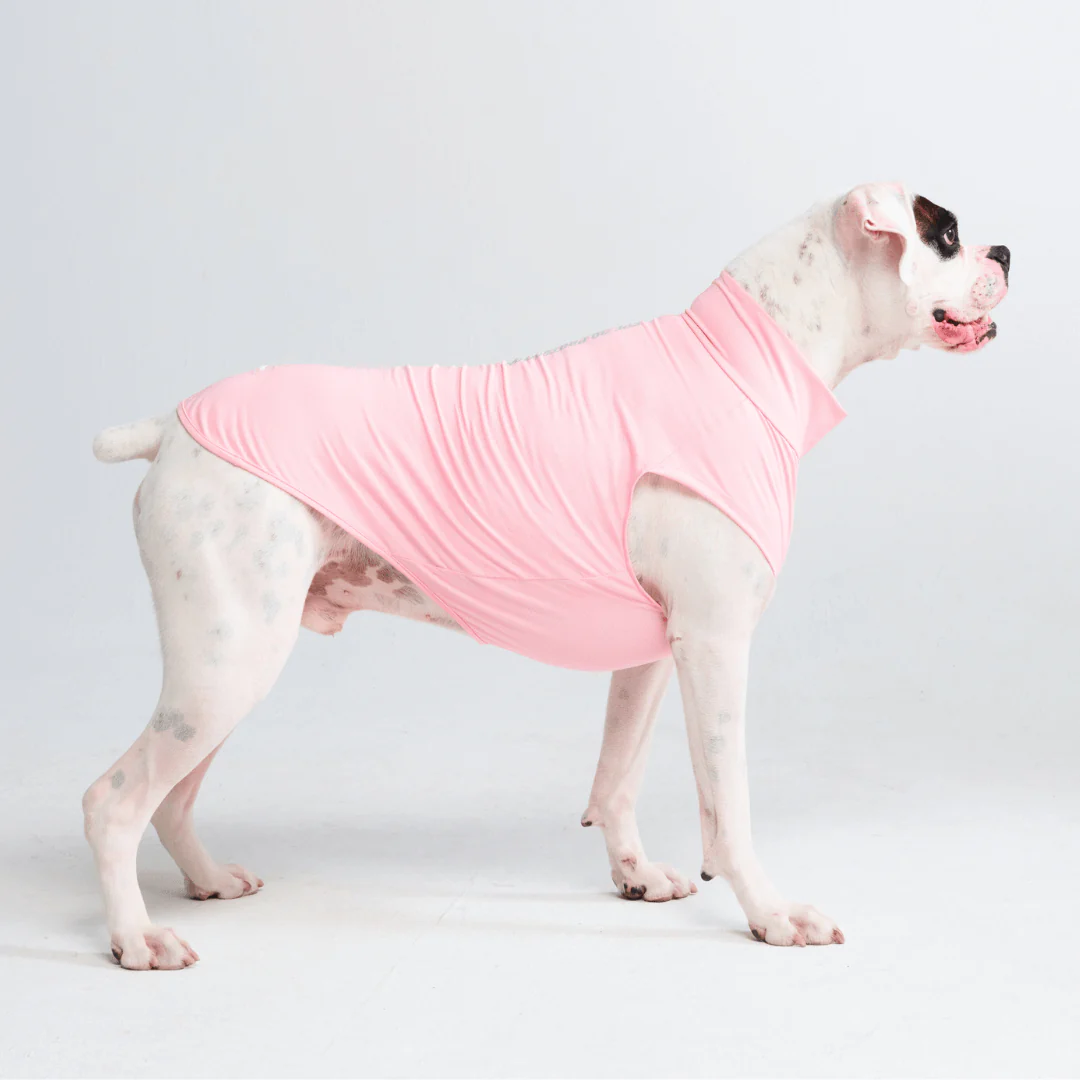Magliette per cani con protezione solare - Image 29