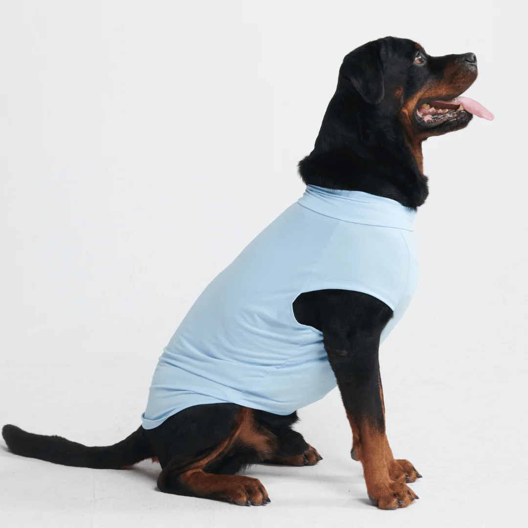 Magliette per cani con protezione solare - Image 31
