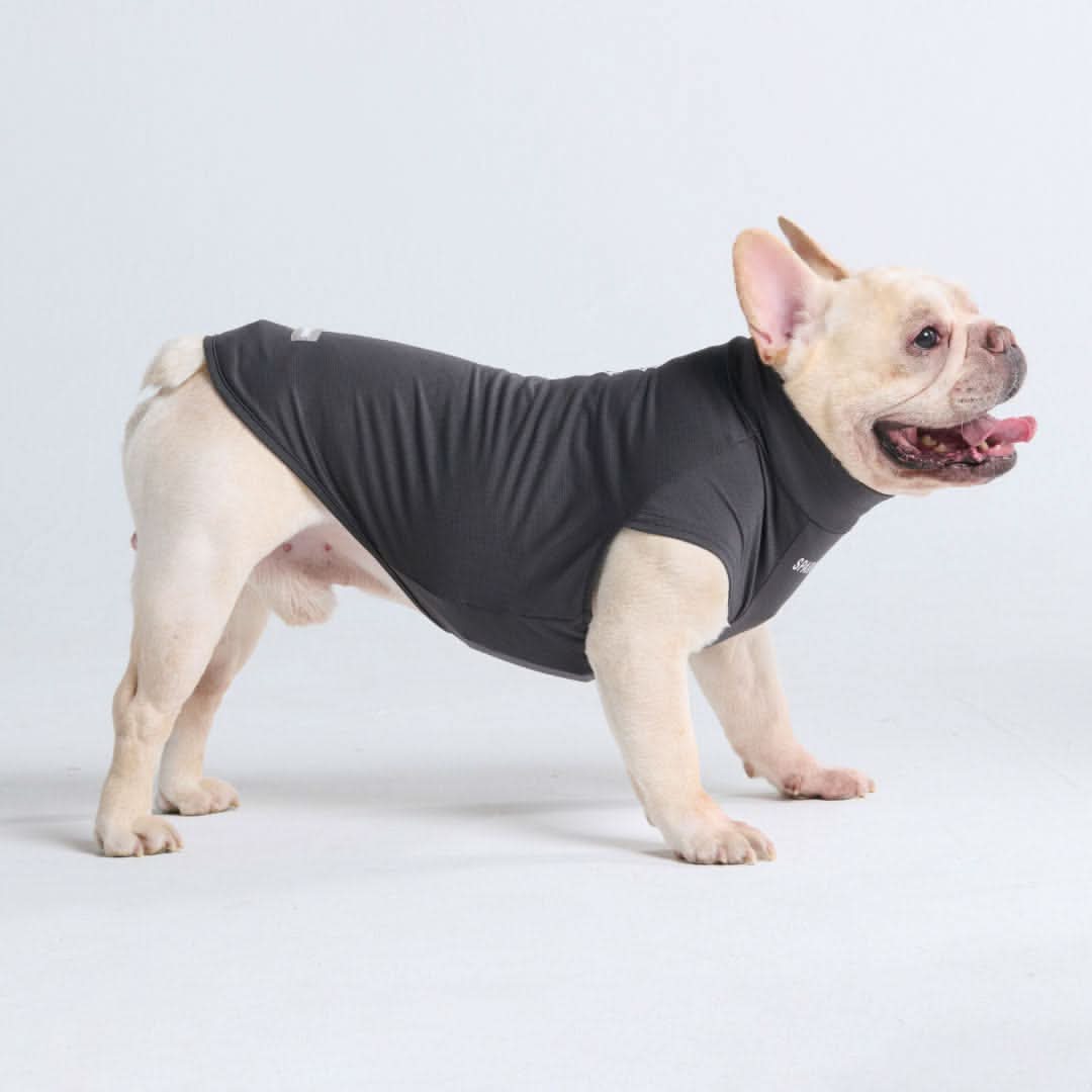 Magliette per cani con protezione solare - Image 38