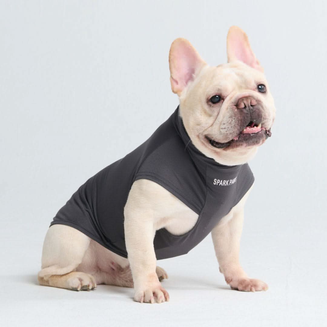 Magliette per cani con protezione solare - Image 39