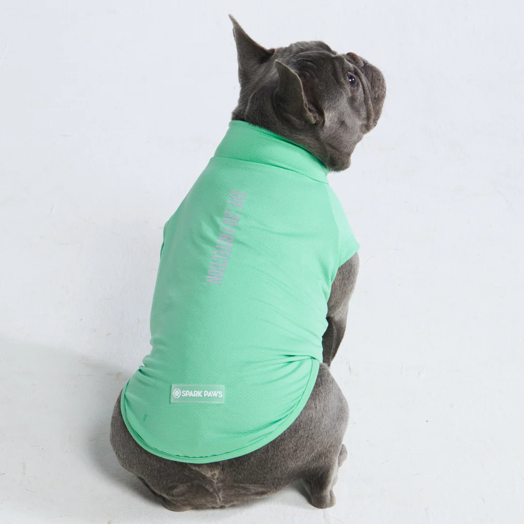 Magliette per cani con protezione solare - Image 6