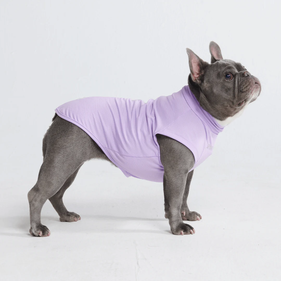 Magliette per cani con protezione solare - Image 7