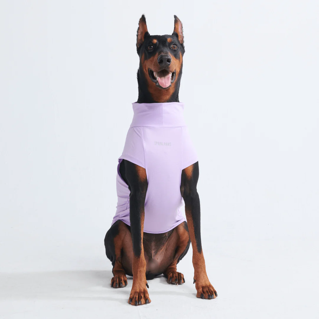 Magliette per cani con protezione solare - Image 9