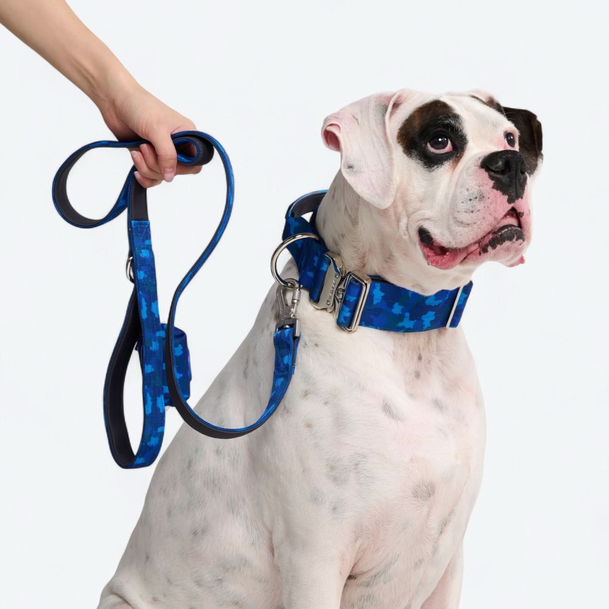 Set di collari tattici per cani - Multicolore (2"/5 cm) - Image 102