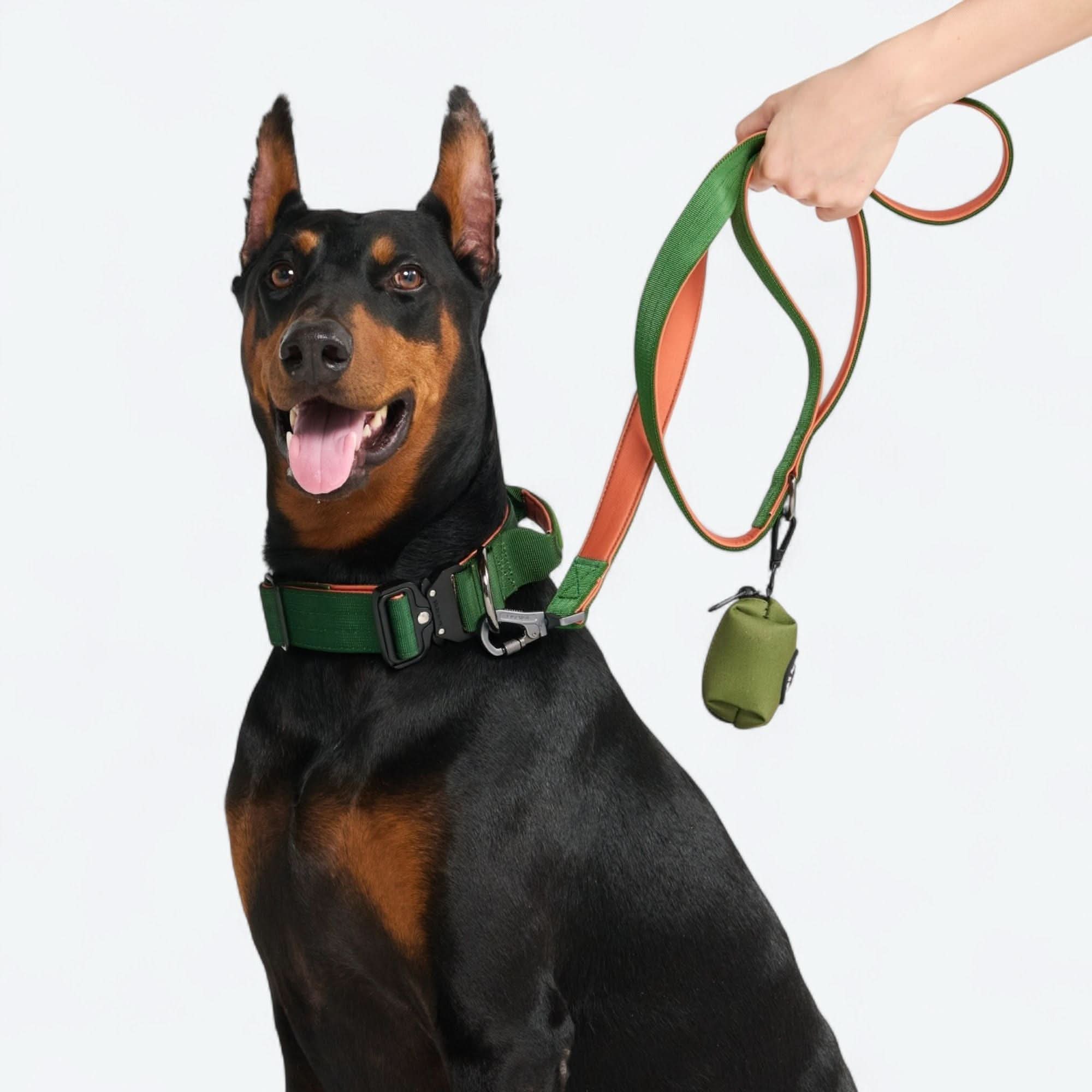 Set di collari tattici per cani - Multicolore (2"/5 cm) - Image 103