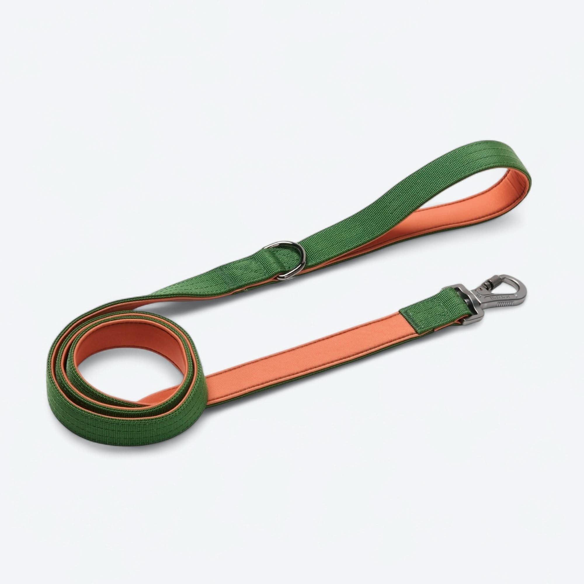 Set di collari tattici per cani - Multicolore (2"/5 cm) - Image 107