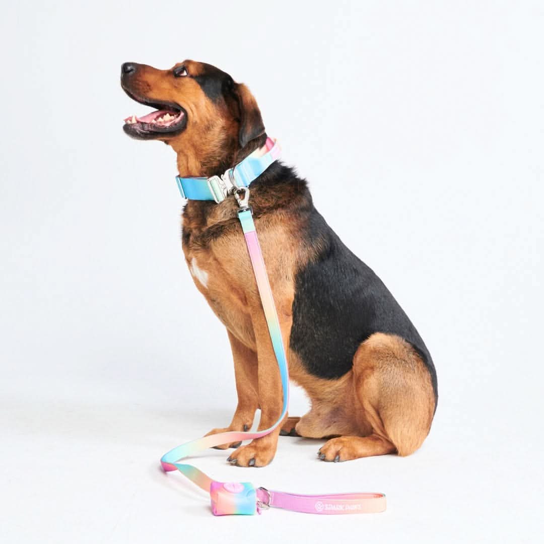 Set di collari tattici per cani - Multicolore (2"/5 cm) - Image 14