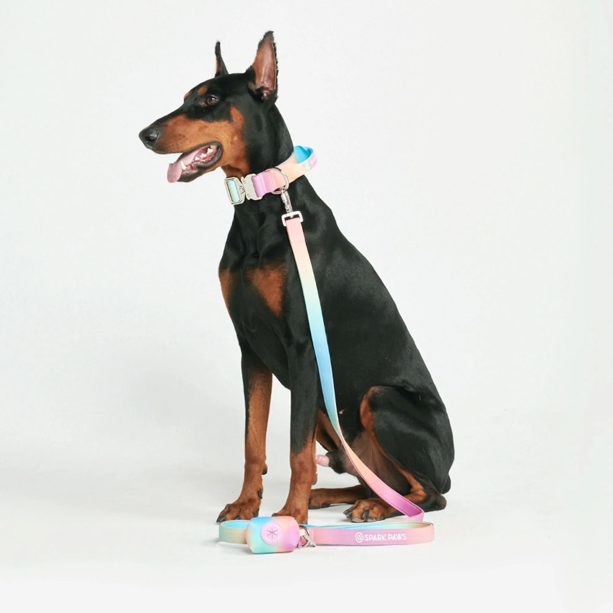 Set di collari tattici per cani - Multicolore (2"/5 cm) - Image 15