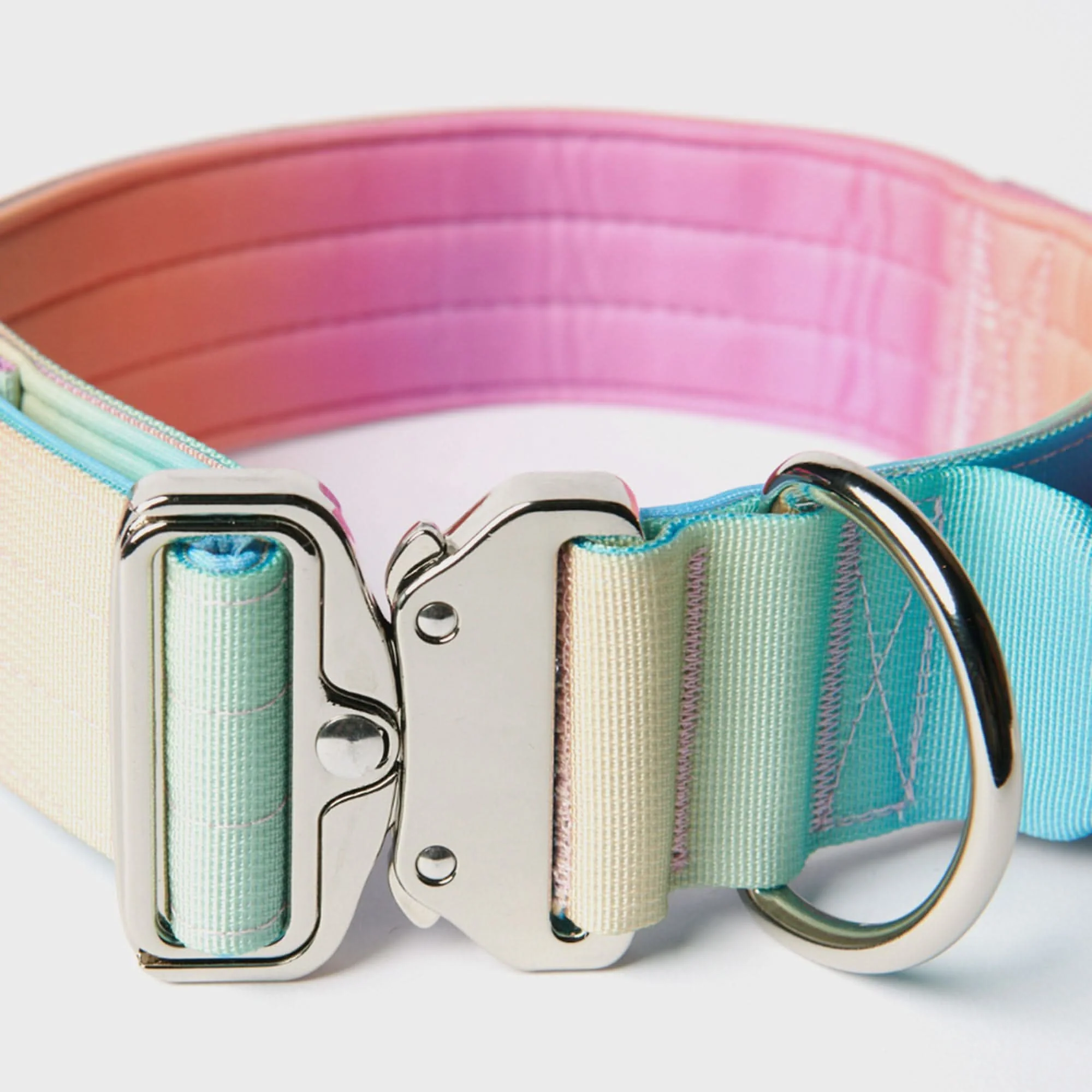Set di collari tattici per cani - Multicolore (2"/5 cm) - Image 19