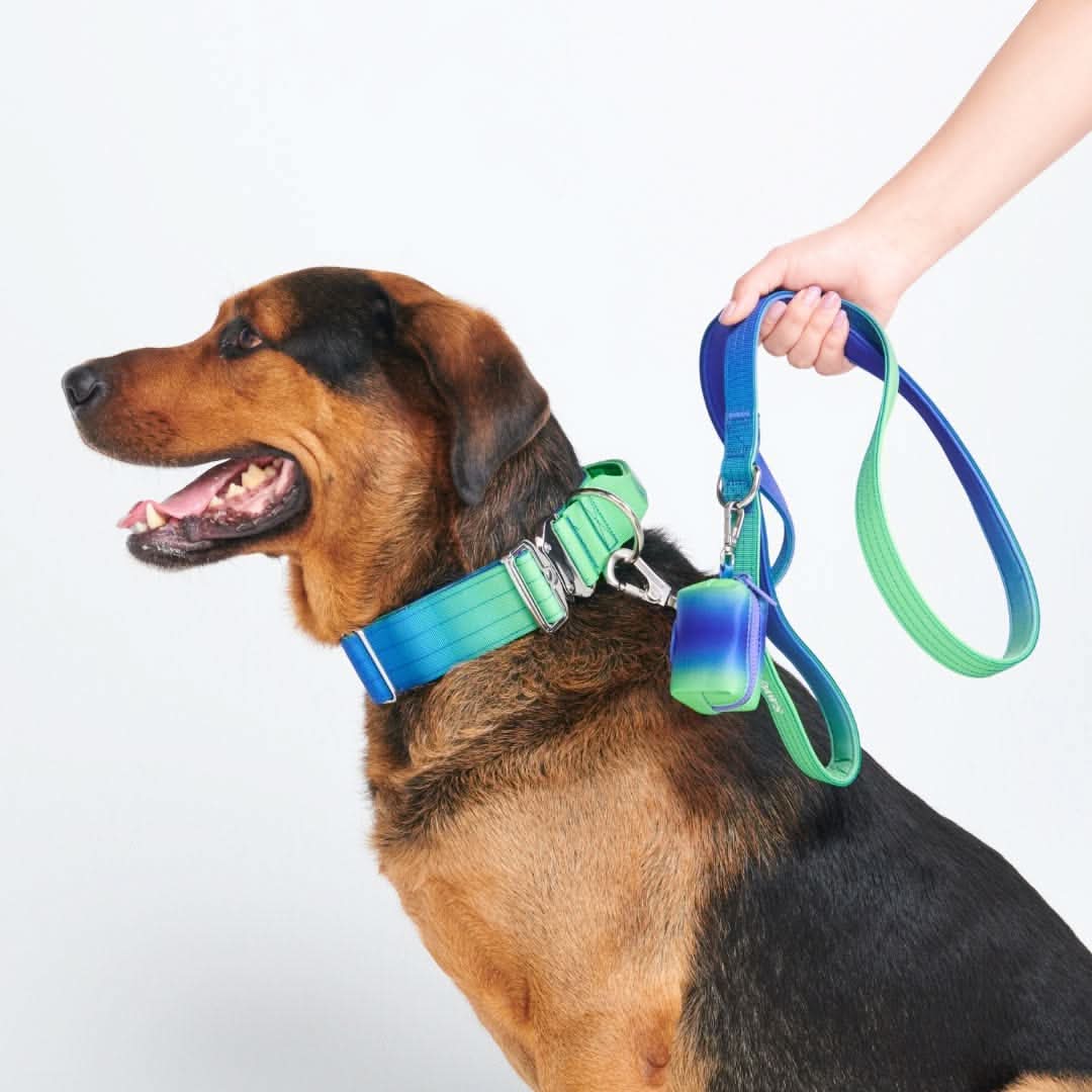 Set di collari tattici per cani - Multicolore (2"/5 cm) - Image 25