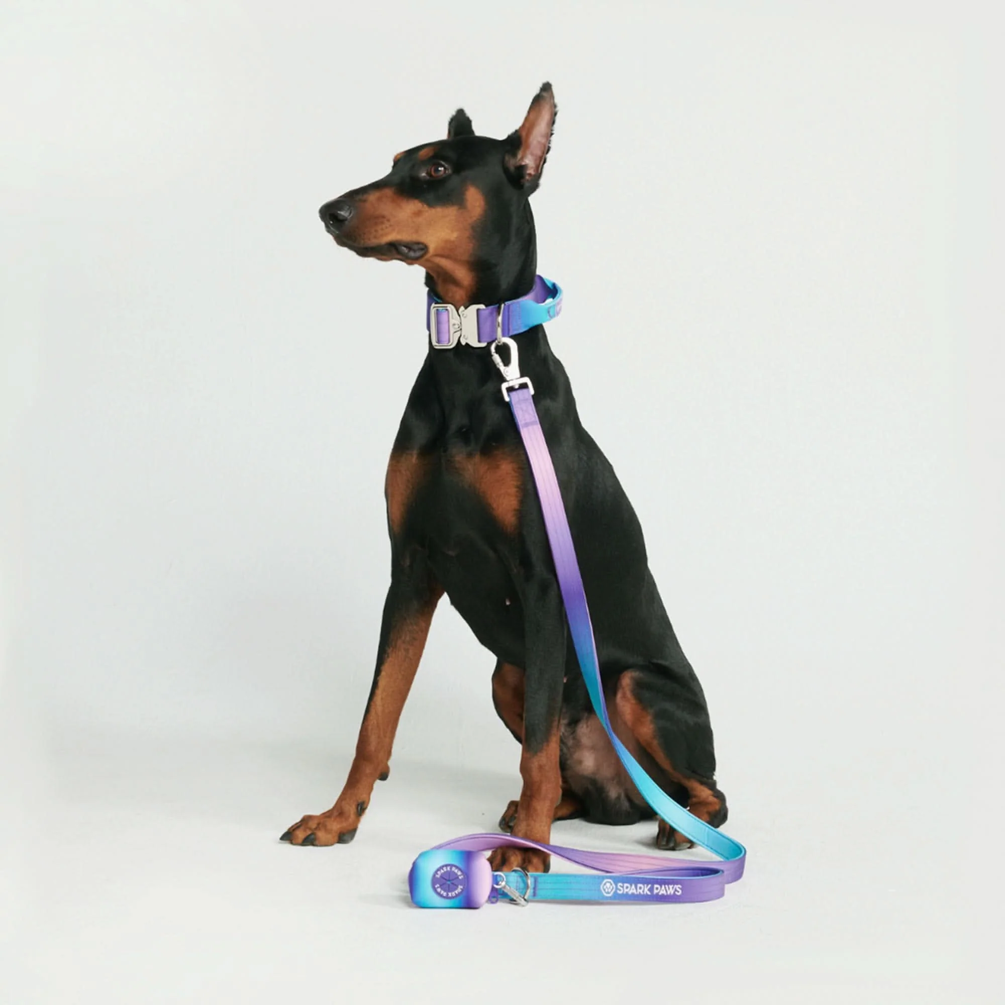 Set di collari tattici per cani - Multicolore (2"/5 cm) - Image 4